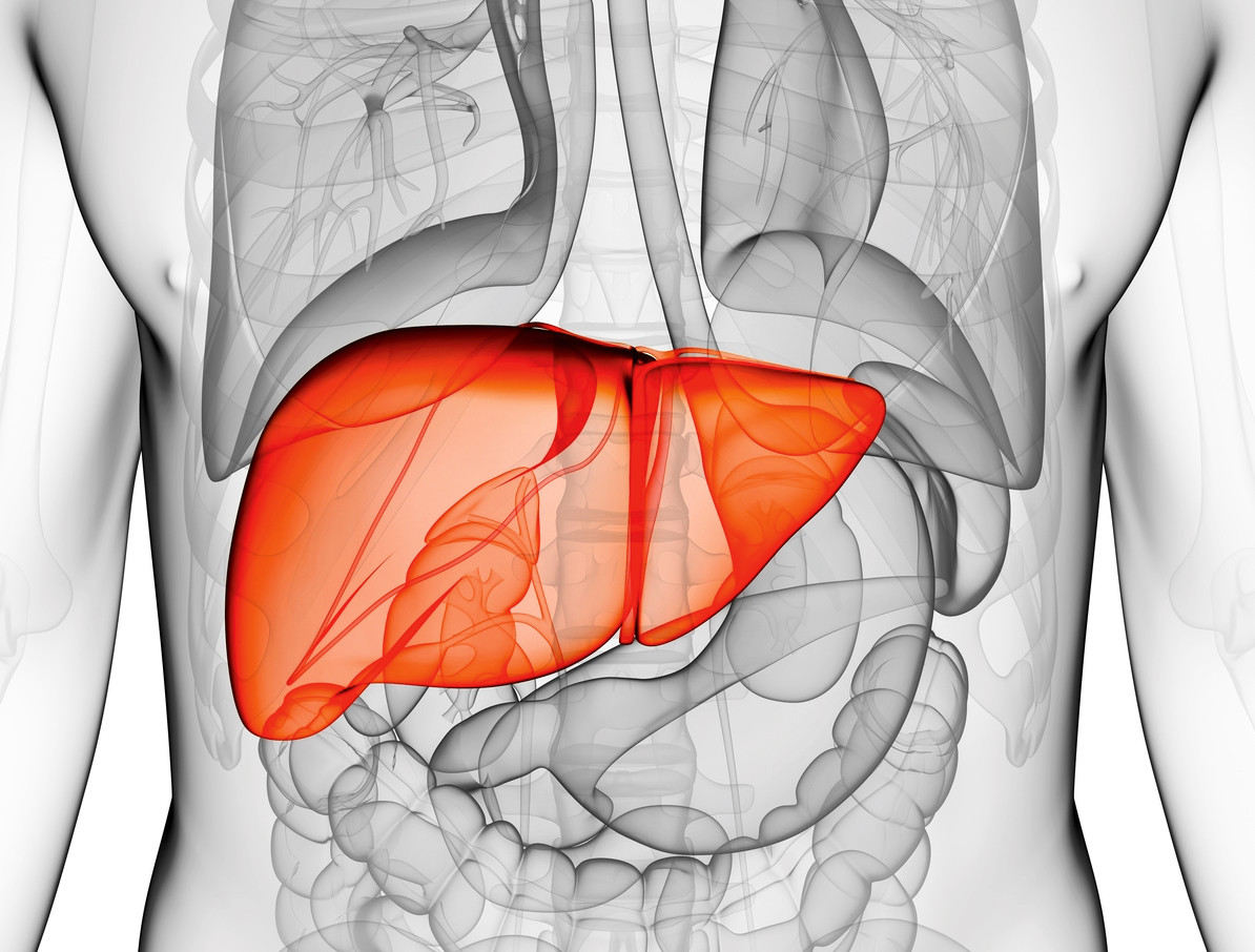 Rote Hand Brief Leberschaden Unter Metamizol Pz Pharmazeutische Zeitung