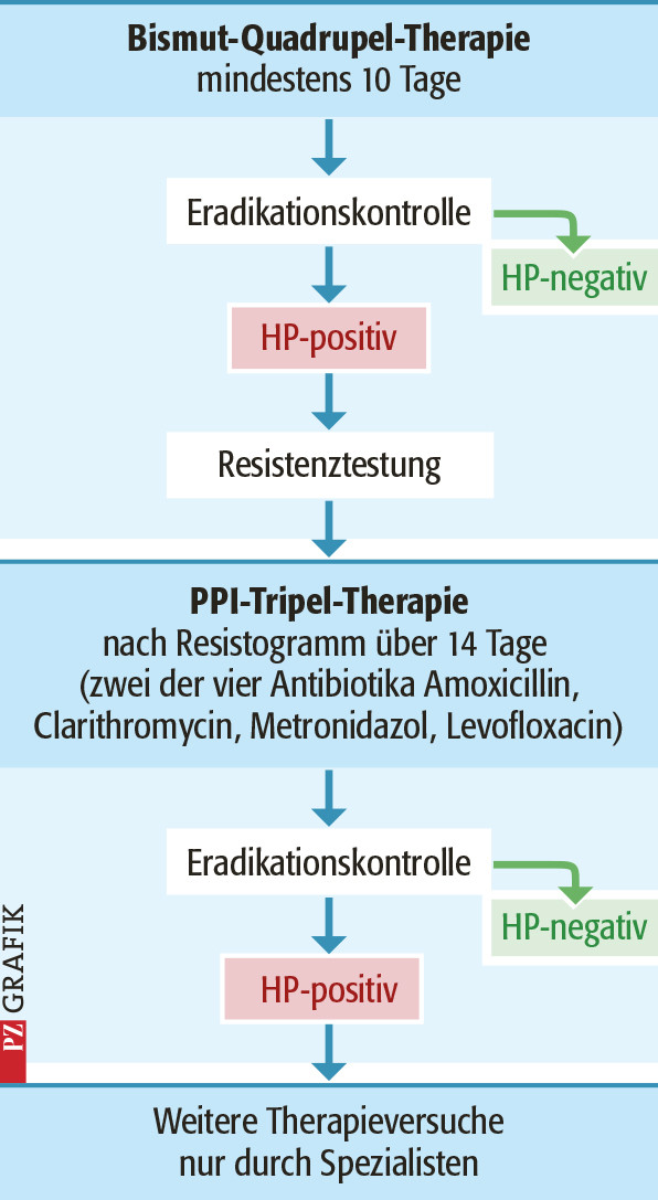 Algorithmus zur Therapie der Helicobacter-pylori-Infektion, ausgehend von der Bismut-Quadrupel-Therapie / Foto: PZ/Stephan Spitzer
