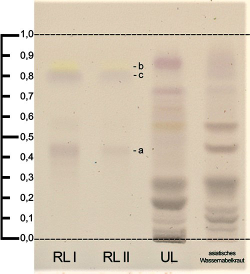 Chromatogramm der Identitätsprüfung C von Gundelrebenkraut / Foto: Foto: DAC/NRF