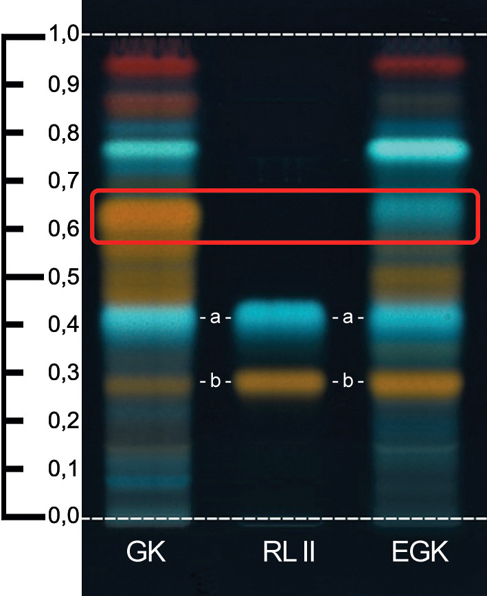 Goldrutenkraut (GK), Echtes Goldrutenkraut (EGK), Referenzlösung II (RL II) mit Chlorogensäure (a) und Rutosid-Trihydrat (b) als Laufweitenmarker / Foto: DAC/NRF