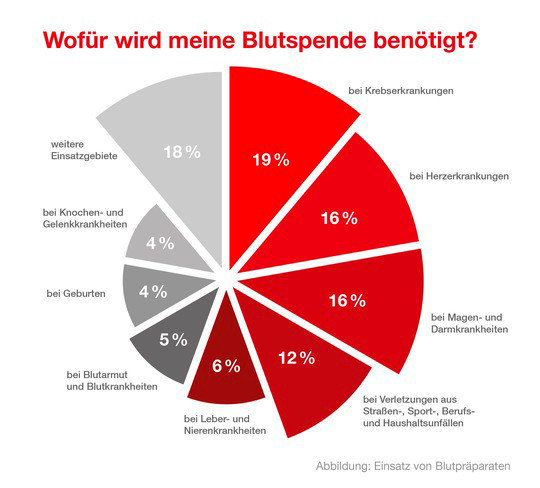 Foto: Deutsches Rotes Kreuz